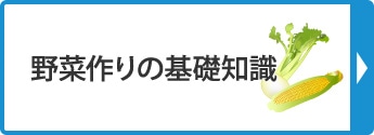 野菜作りの基礎知識