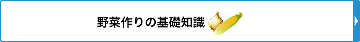 野菜作りの基礎知識