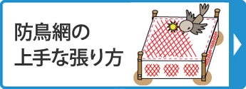 防鳥網の上手な張り方