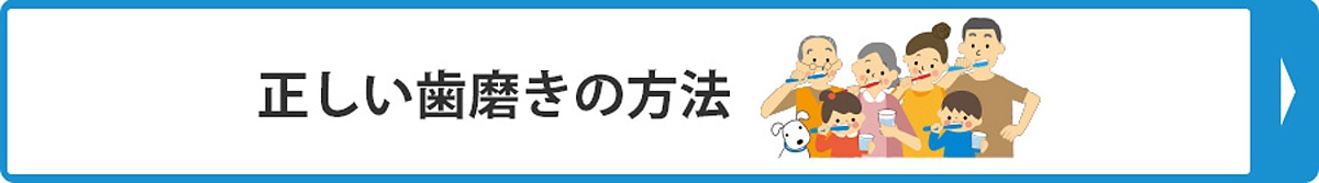 正しい歯磨きの方法